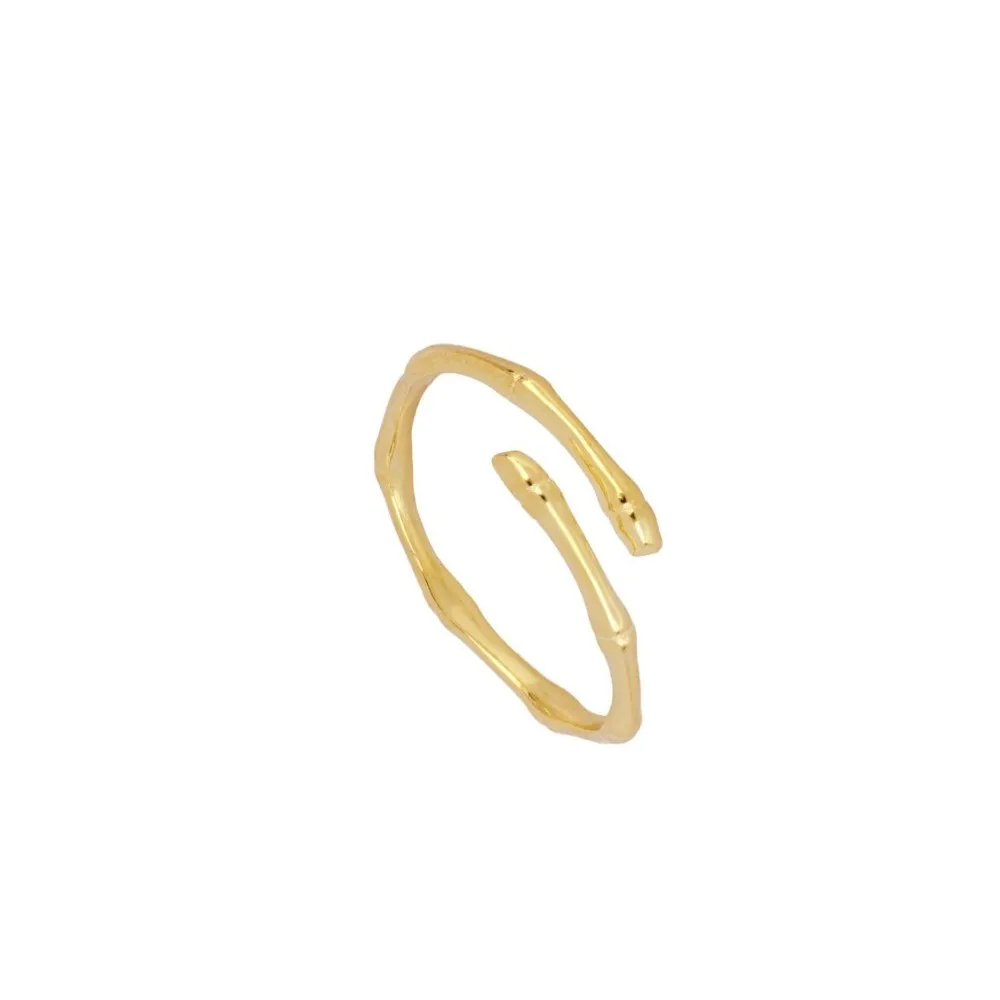 Anillo Bambú Oro