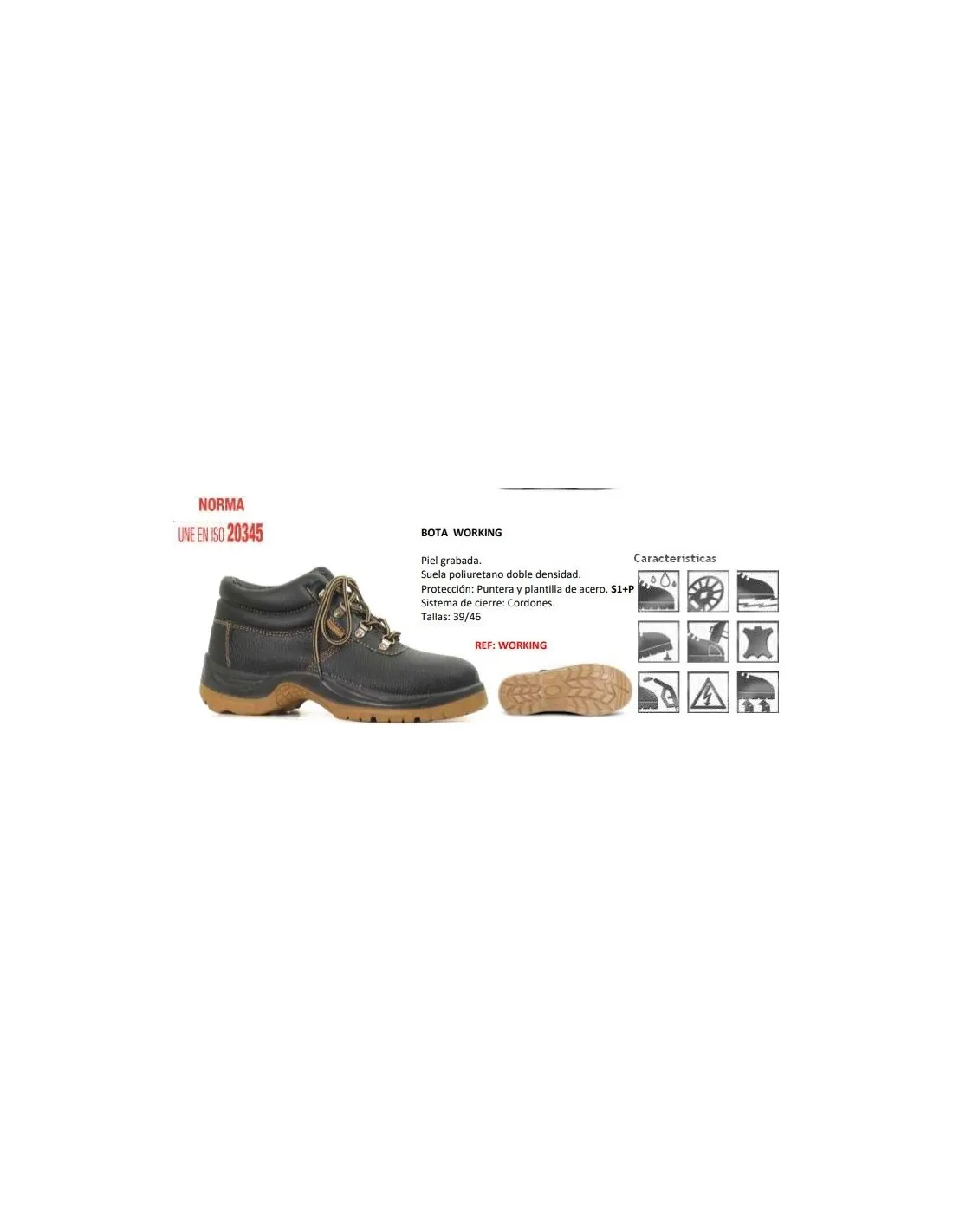 BOTA WORKING S1+P N48