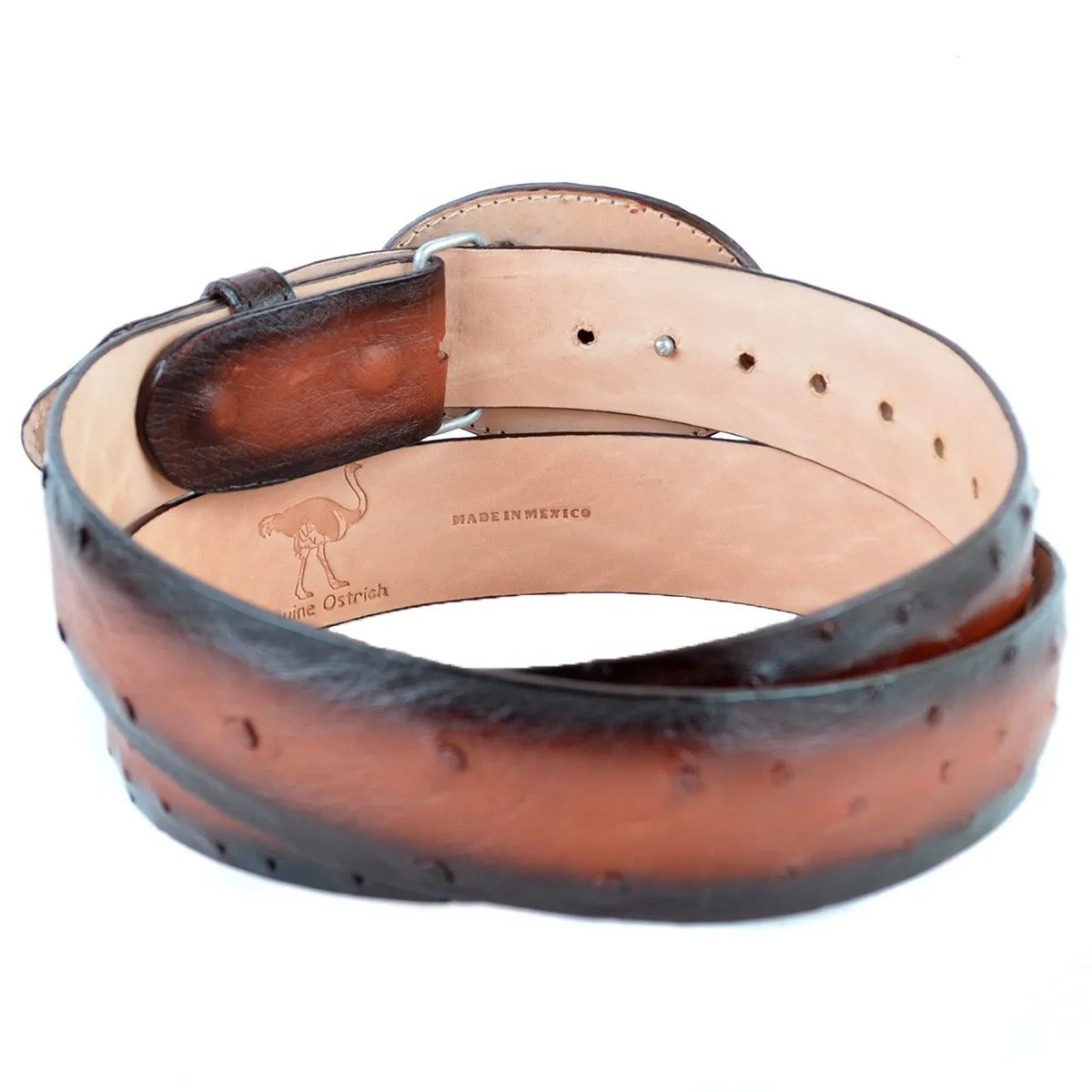 CINTO AVESTRUZ VAQUERO CBC110357