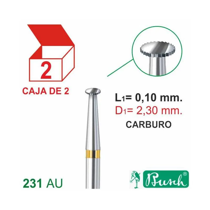 Fresa Carburo 231AU 0,10mm. Engastar C/2