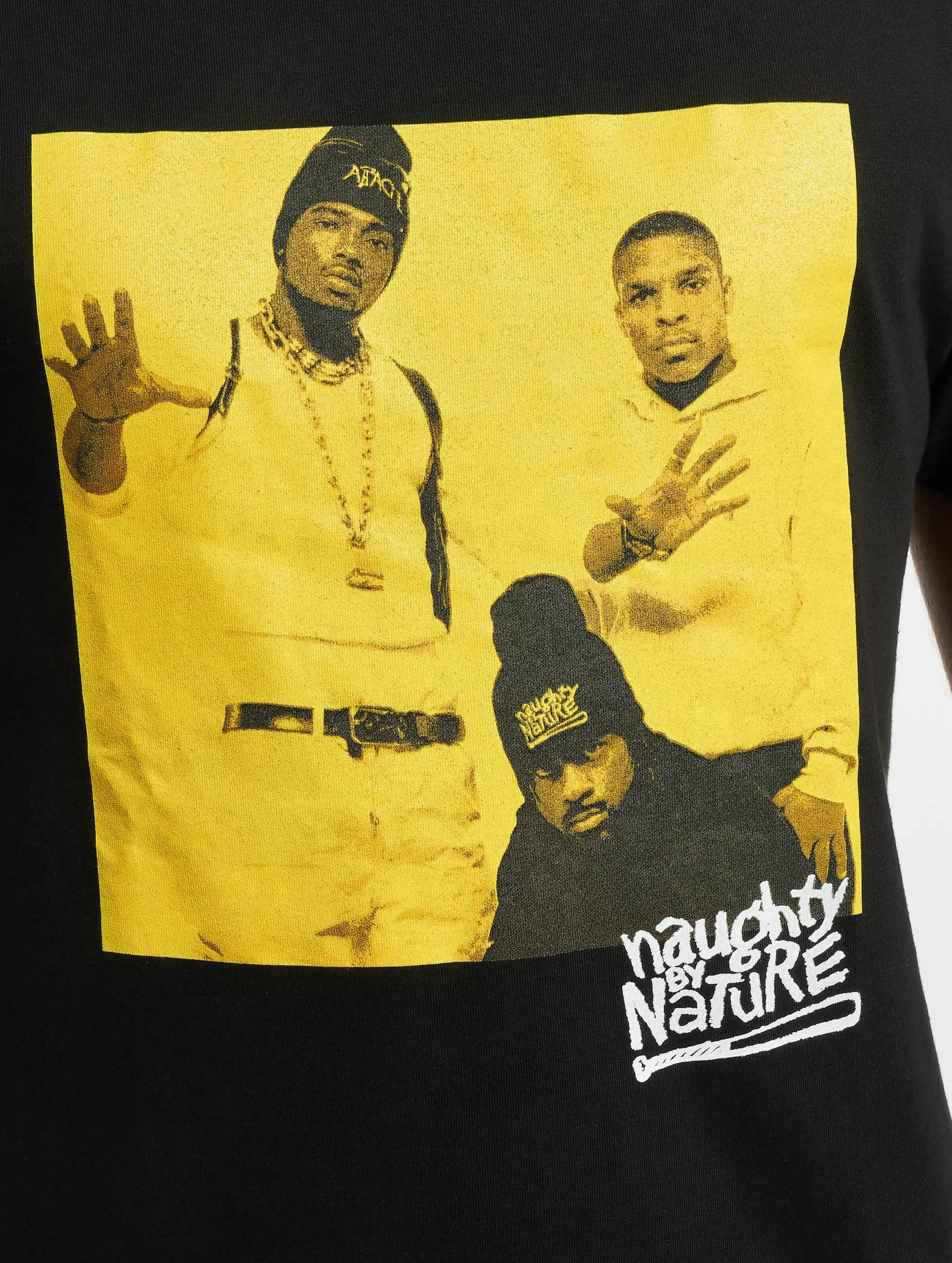 Mister Tee Naughty By Nature Picture