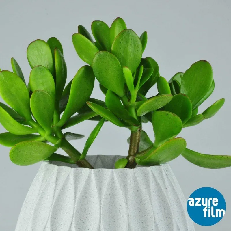 PLA Azure Marble