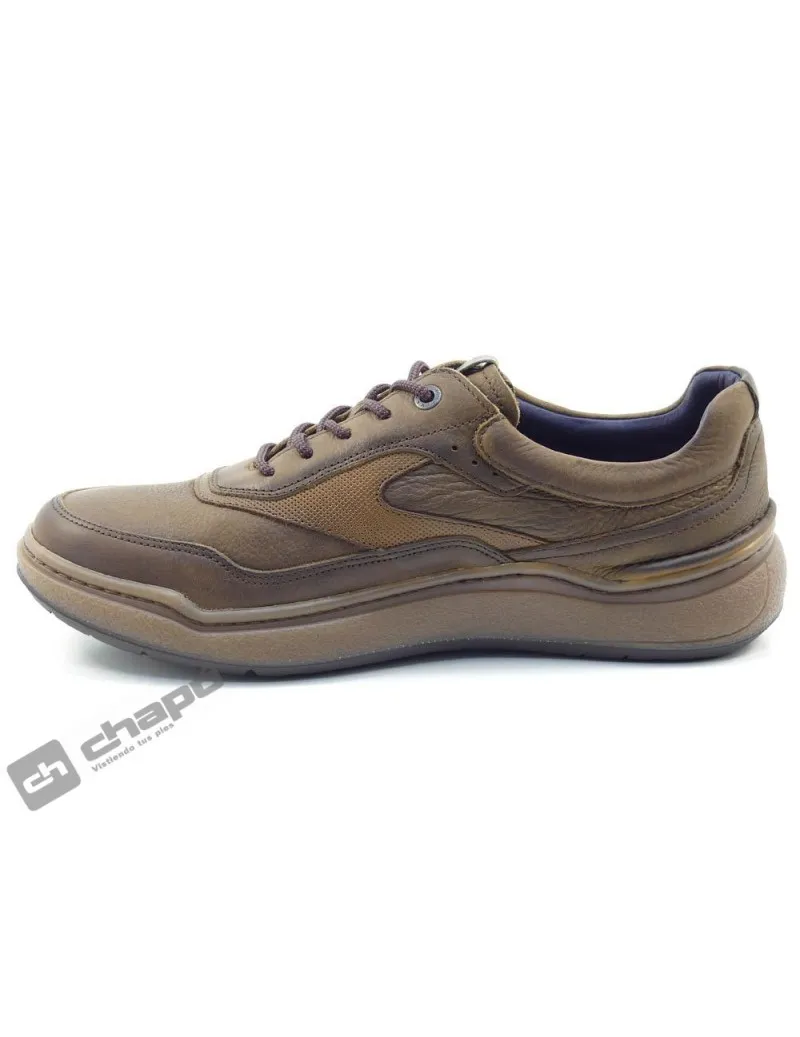 Zapatos Marron Fluchos F2038